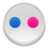 flickr Icon